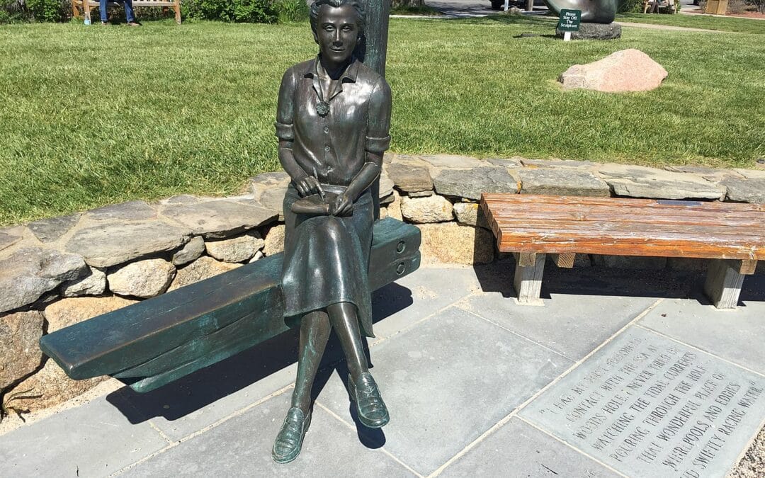 Staty över Rachel Carson i Woods Hole, Massachusetts